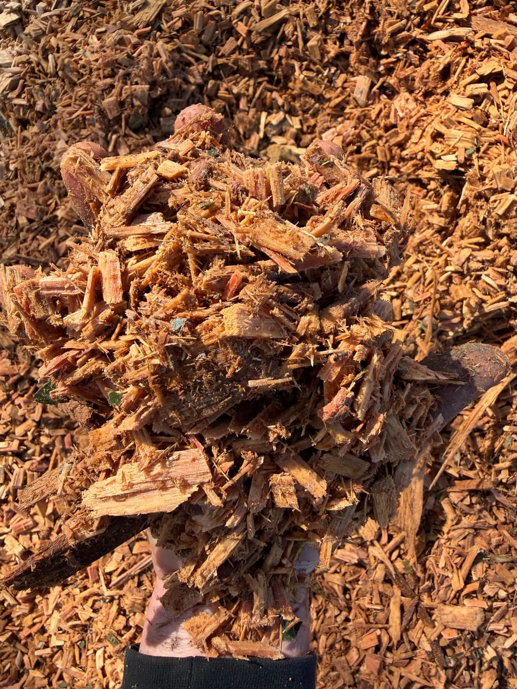 Fresh Mulch — Perfect for paths, play areas & new projects