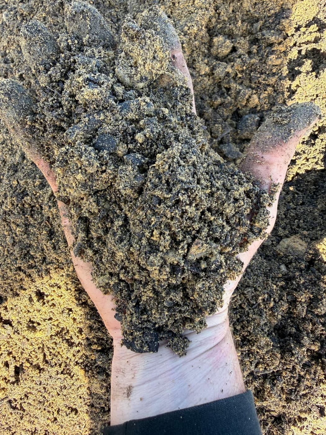 Raised Bed Mix — Free draining and full of fertility